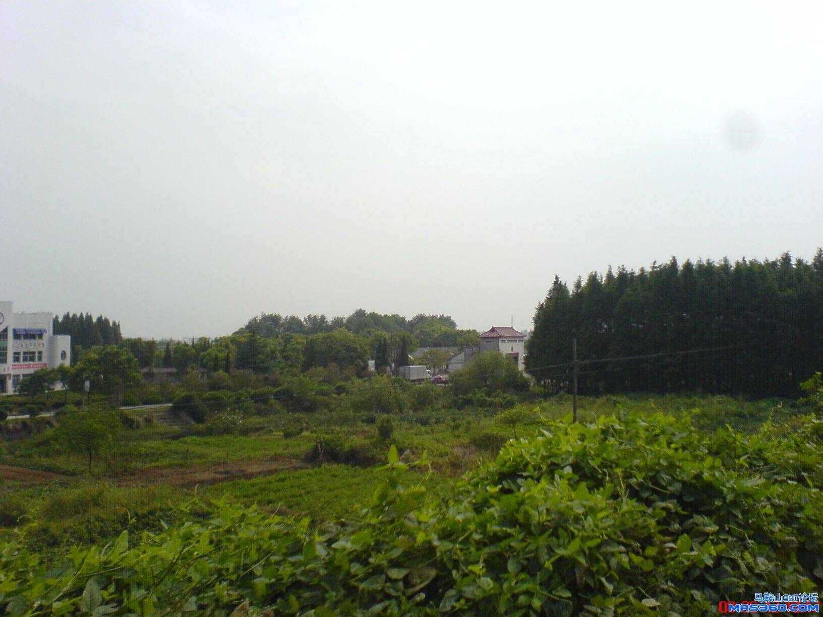 DSC00604.JPG