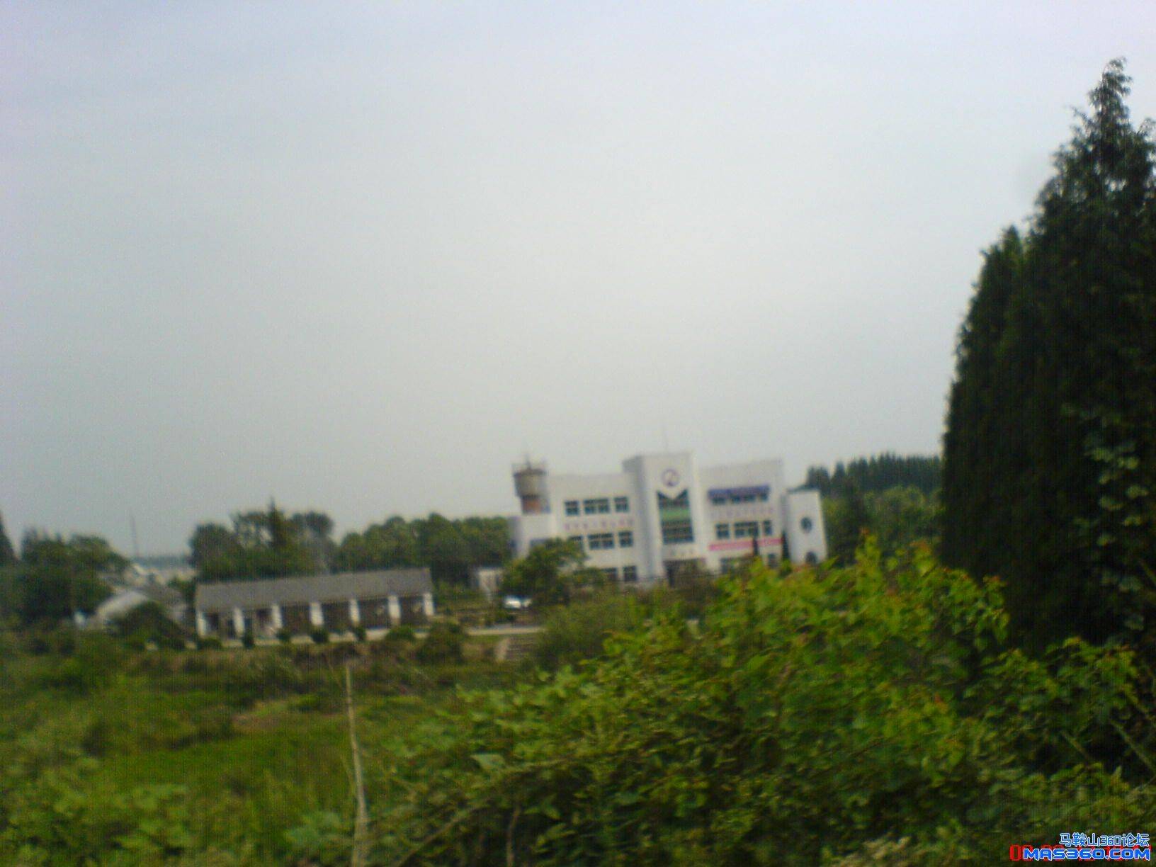 DSC00605.JPG