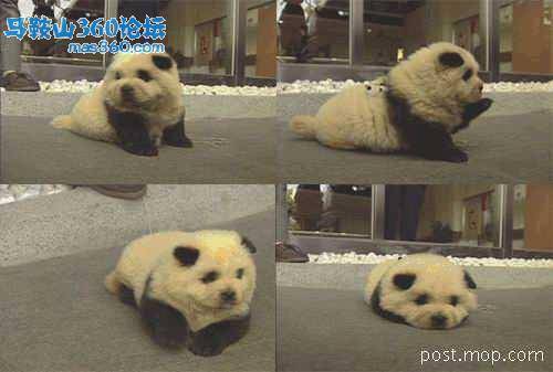 主题图片.jpg