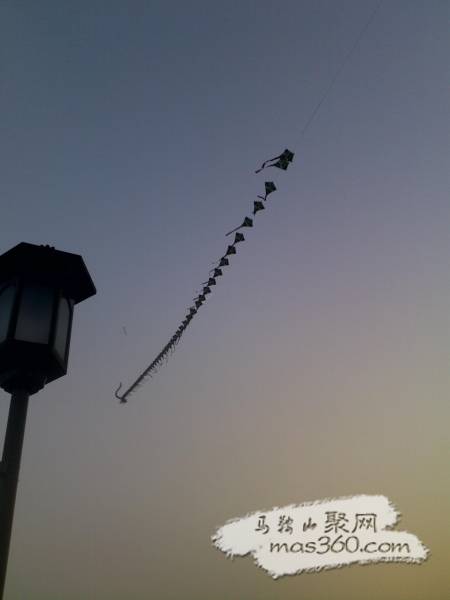 20100222490.jpg