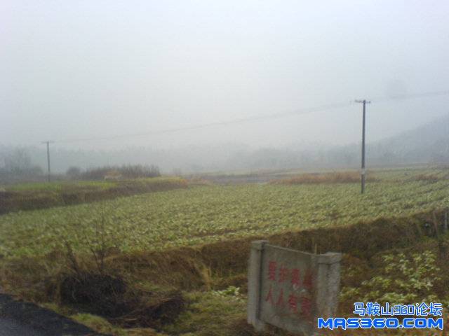 DSC01169.JPG