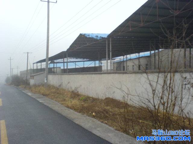 DSC01171.JPG
