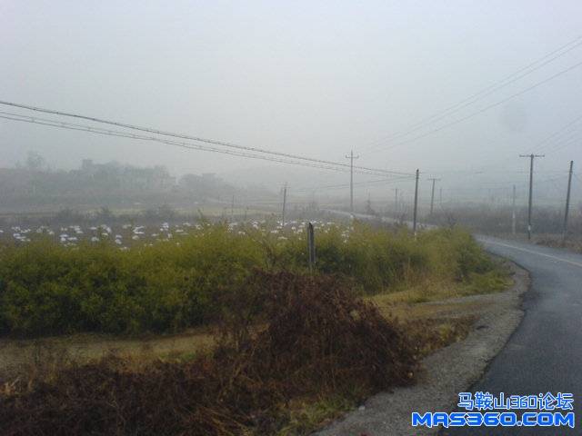 DSC01170.JPG