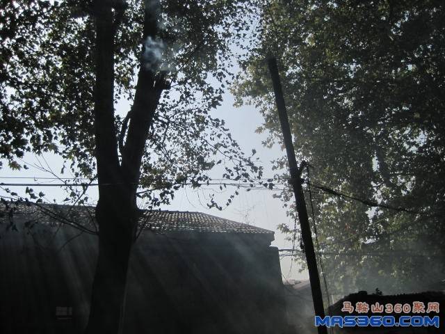 照片 008.jpg