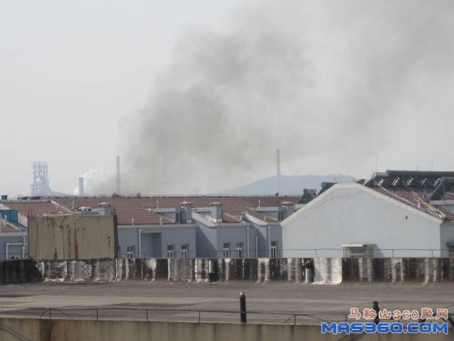 照片 003.jpg