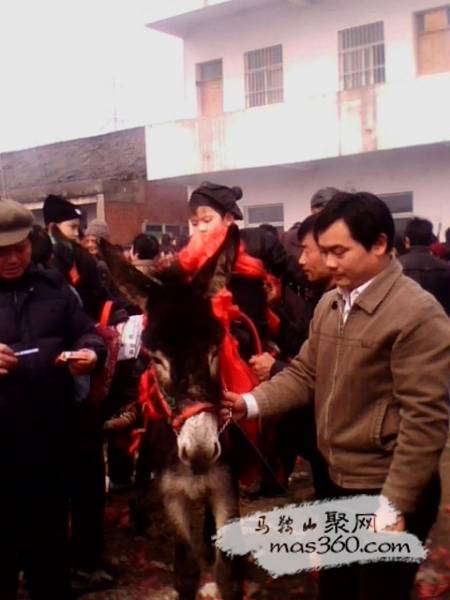 IMG0768A.jpg