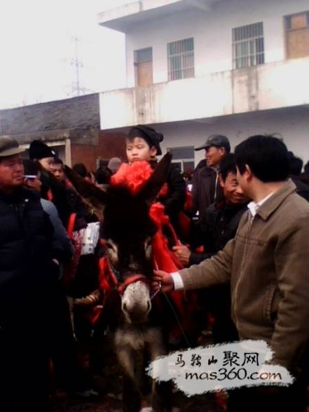 IMG0769A.jpg