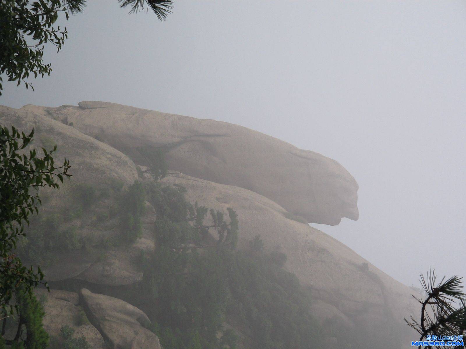 九华山——大鹏听经.jpg