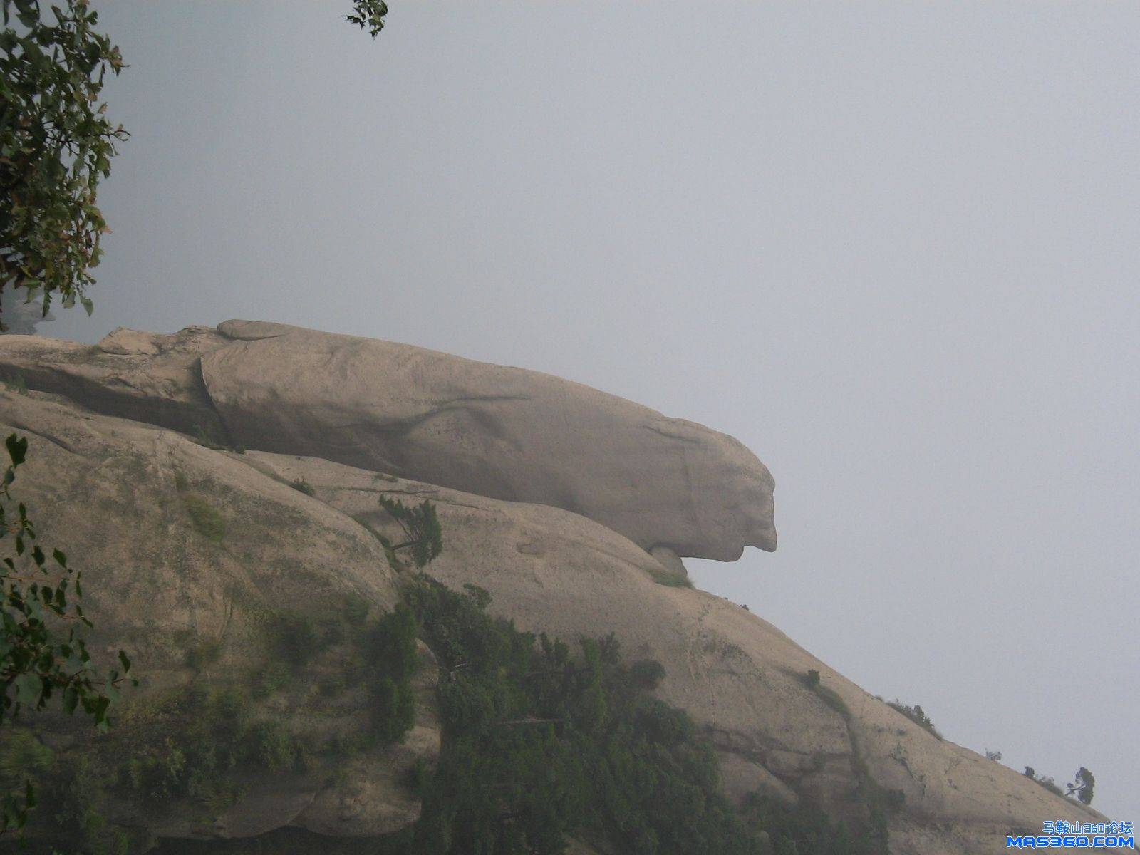 九华山——大鹏听经..jpg