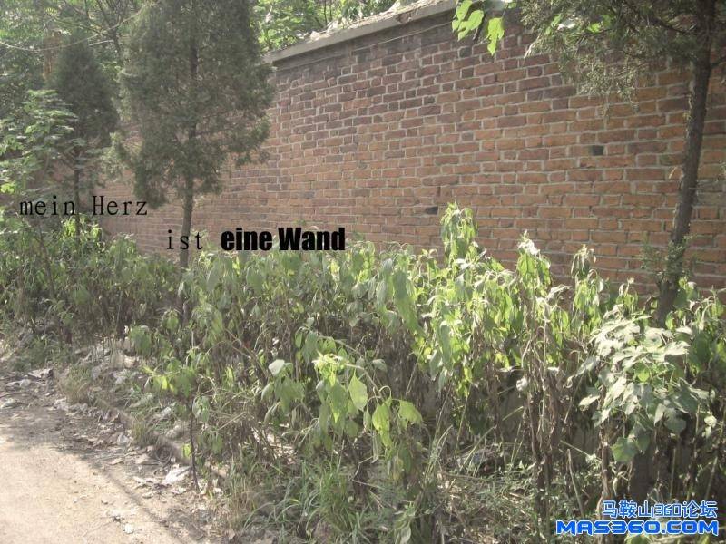 我们无处安放的青春
