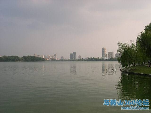 DSCN6694.JPG