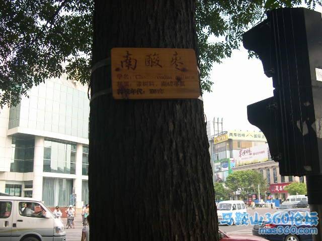 DSCN6586.JPG