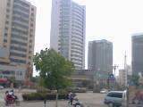 IMG0128A.jpg