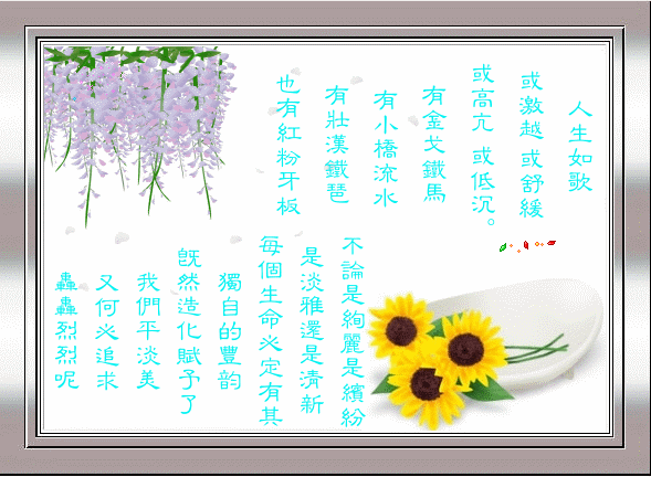 2007122414441955469.gif