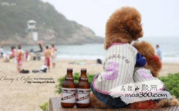 三.JPG