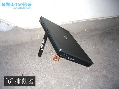 主题图片.jpg