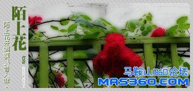 132205_1201269917_ahaxfans.jpg