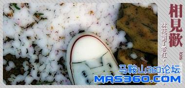 132640_1741548351_oetqsnkg.jpg