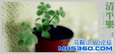 132204_721016586_guvxgdtz.jpg