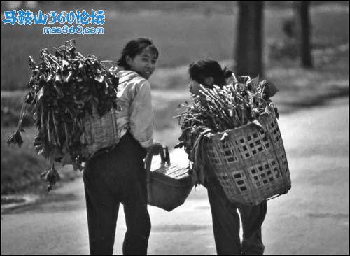 主题图片.jpg