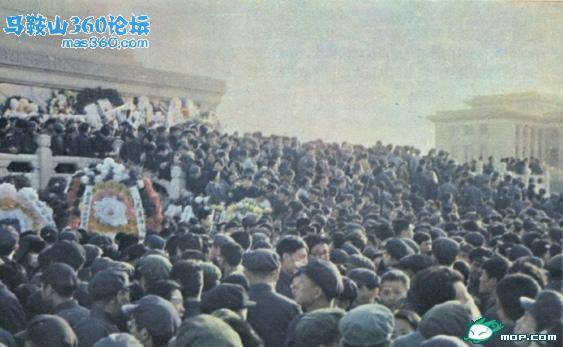 主题图片.jpg