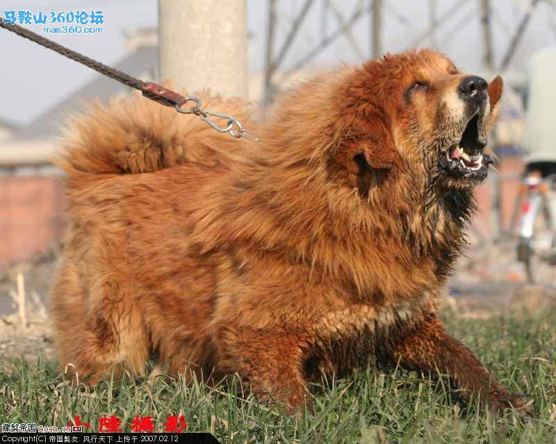 主题图片.jpg
