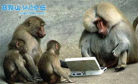 主题图片.jpg