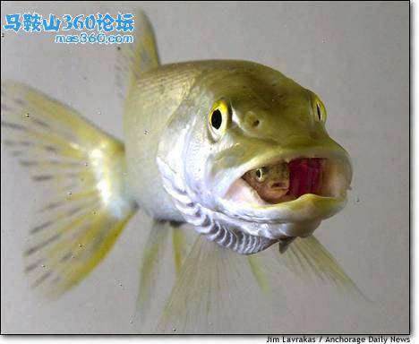 主题图片.jpg