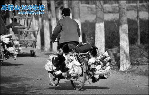 主题图片.jpg