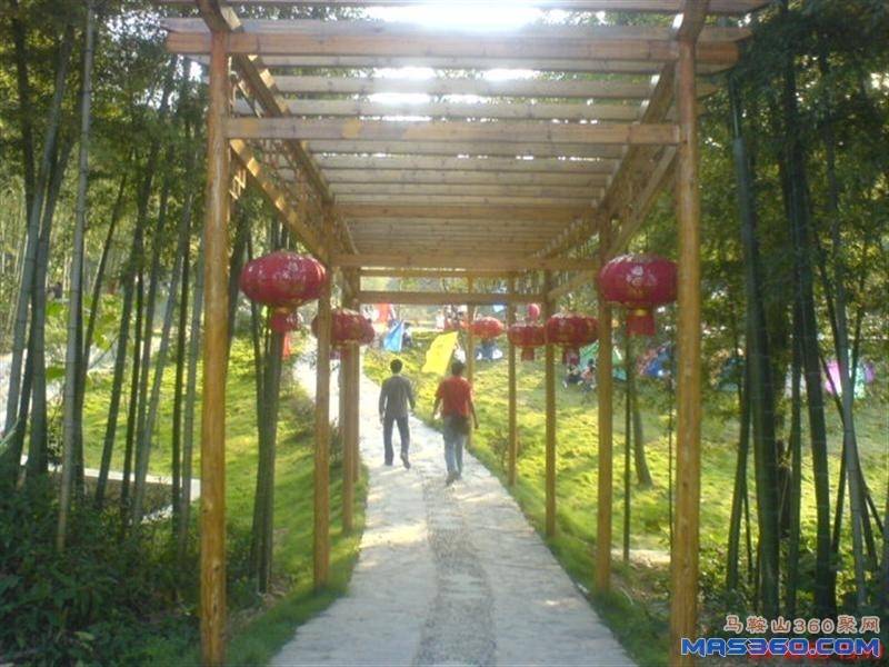 DSC01970 (中型).JPG
