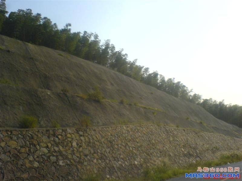 DSC01983 (中型).JPG