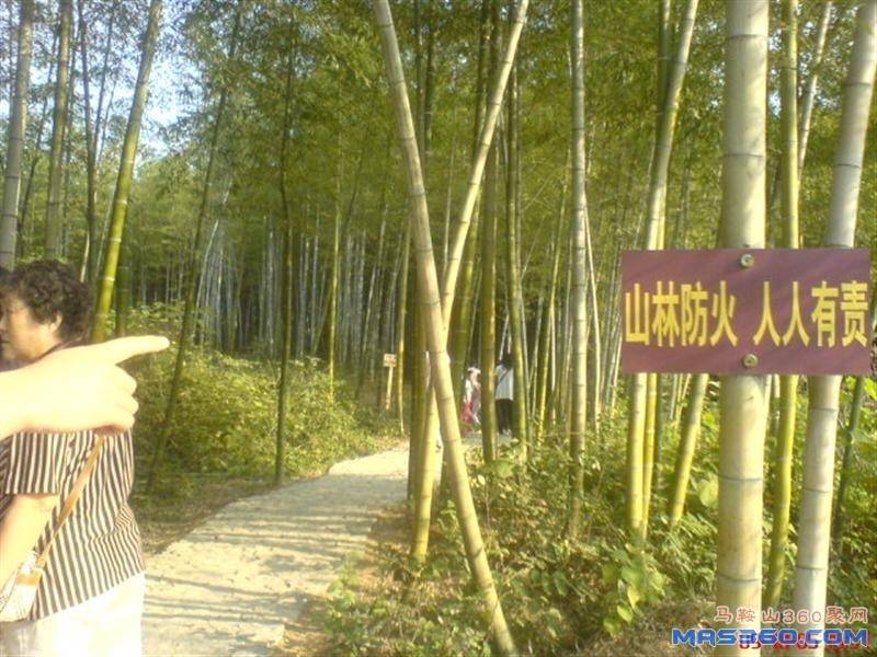 DSC01978 (中型).JPG