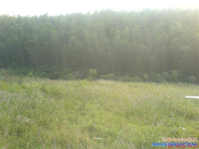 烧烤地点1.JPG