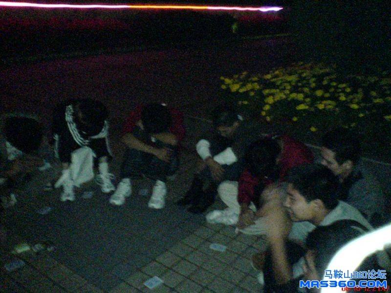 DSC00831 (中型).JPG