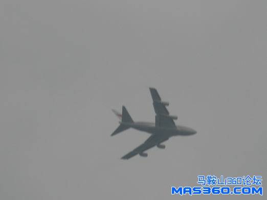 调整大小 PB020406.JPG