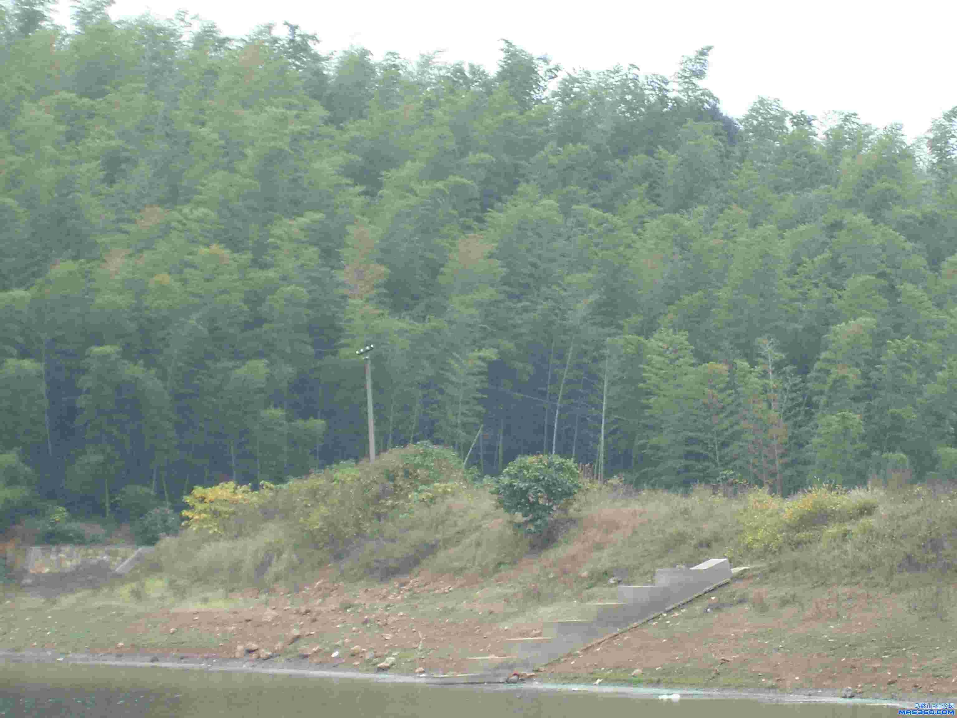 SL270511.JPG