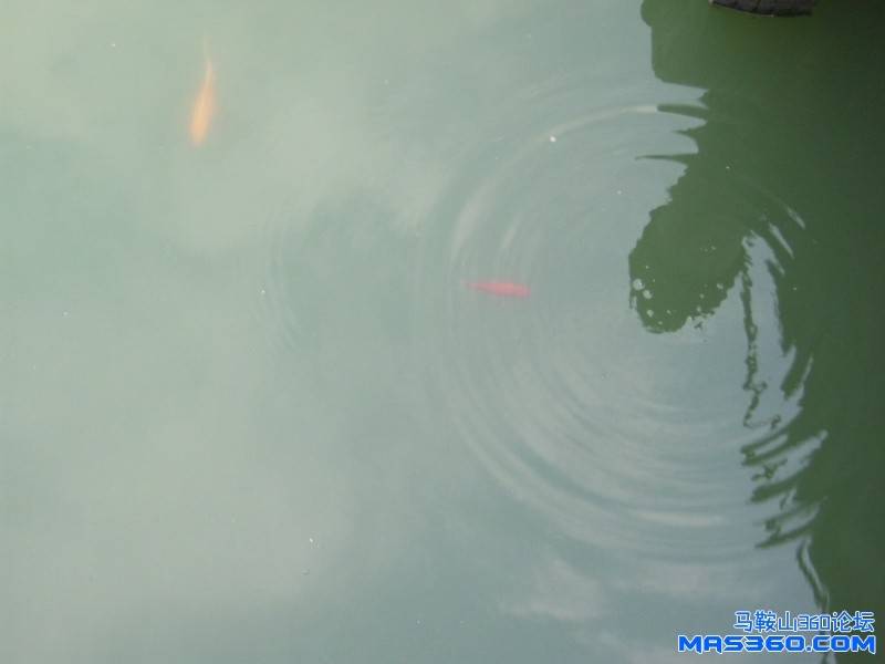 照片 050.jpg