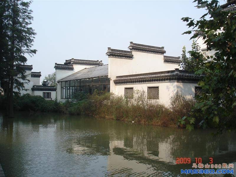 DSC00337 (中型).JPG