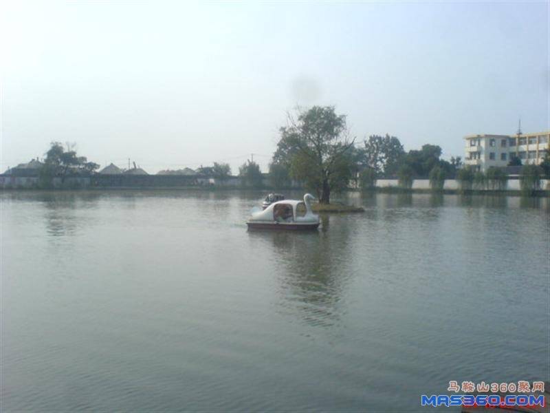 DSC01948 (中型).JPG