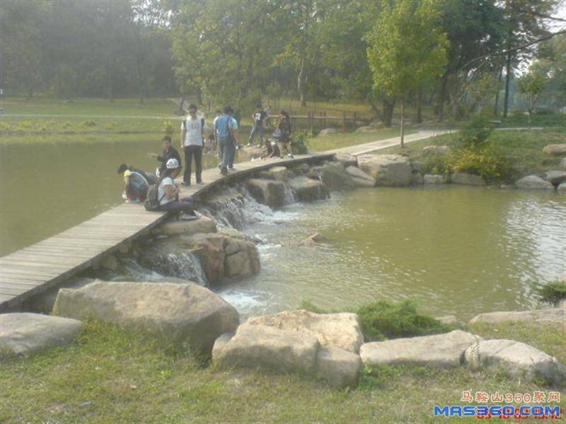 DSC01937 (中型).JPG