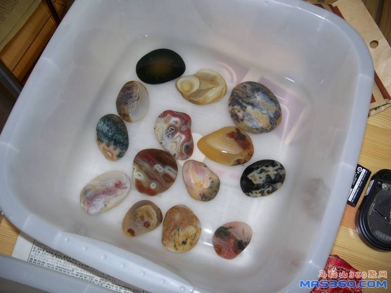 照片 110.jpg