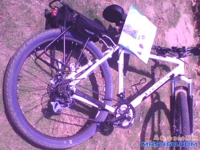 IMG0427A.jpg