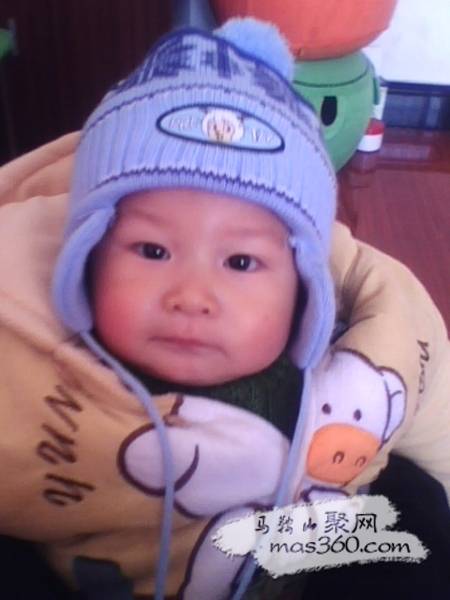 IMG0529A.jpg