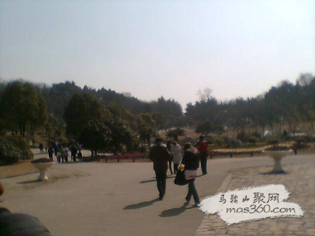 图像001.jpg