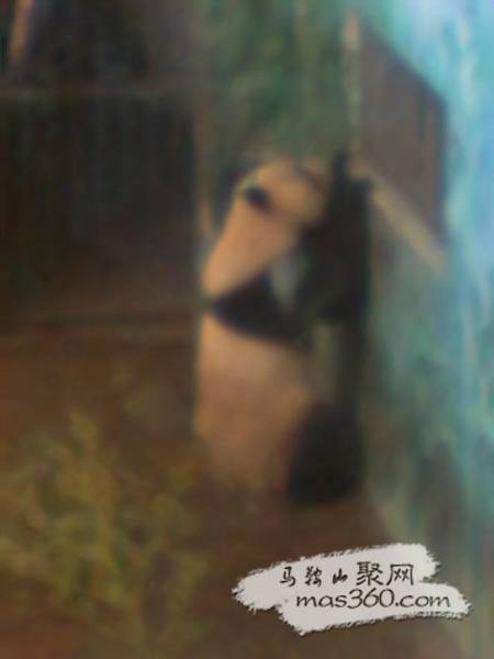 图像007.jpg