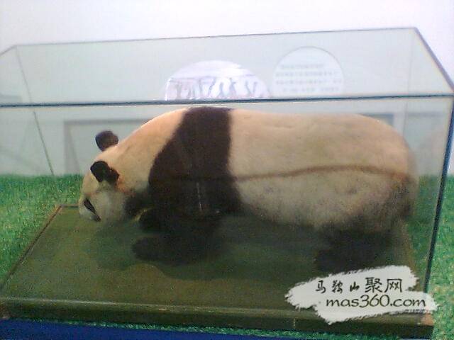 图像020.jpg