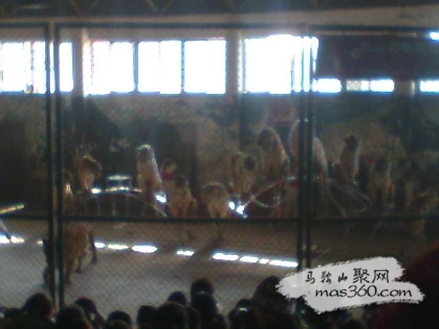 图像003.jpg