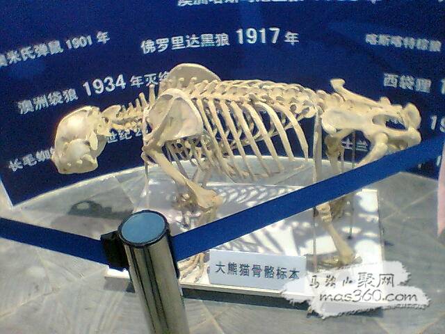 图像021.jpg
