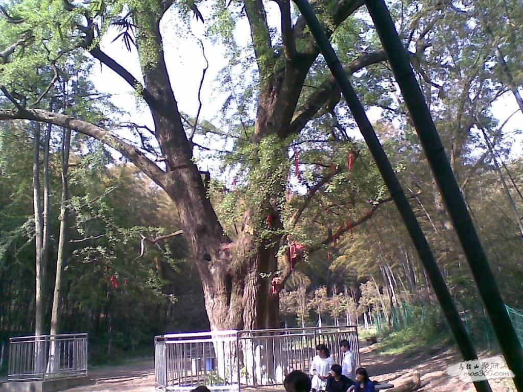 20100501(002).jpg