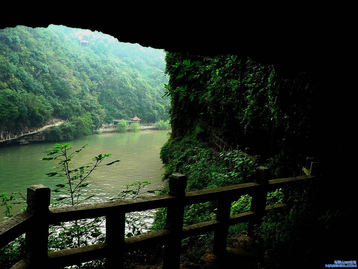 P1500582.JPG